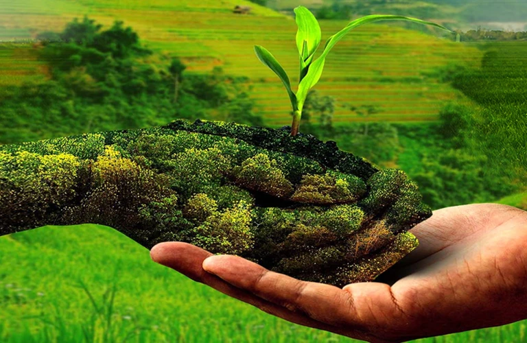 Live Plants and Seeds